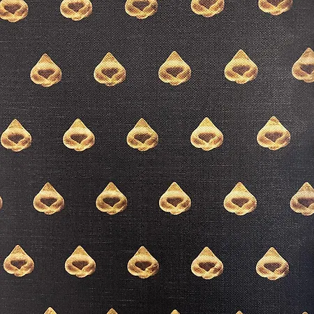 Altana House Tortellinosuite * Modena